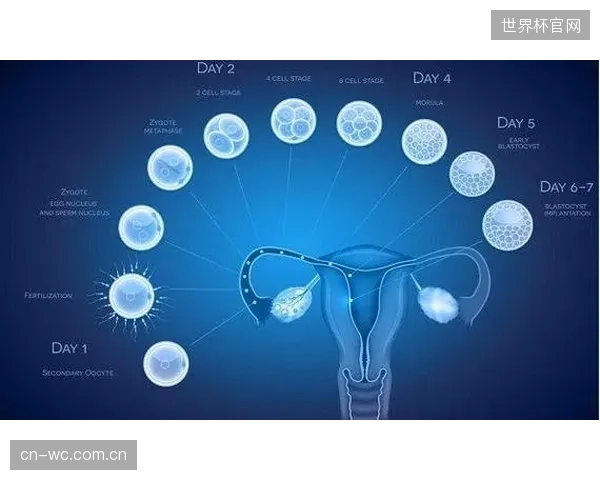 基于基因图谱识别的损伤风险和体能潜力，将与日常的生物监控数据相结合，形成一套从先天特质到后天状态的超个性化“精算预警”系统